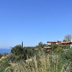  Проживание в семье Casa Roja