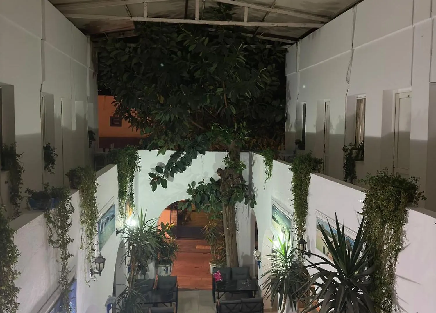 Gazde/Camere de închiriat Devran Pansiyon Bodrum Turcia